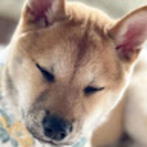 Meet your Posher, Zoey peng